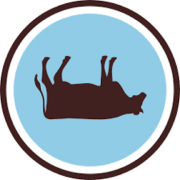 This image has an empty alt attribute; its file name is cow-e1542839547184.png